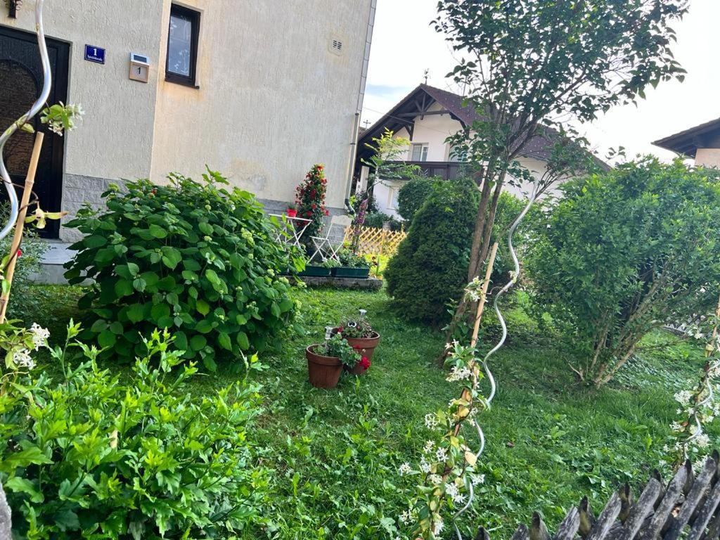 Pension Donaublick Grein 1 , Spitzfeldstr 1 ภายนอก รูปภาพ