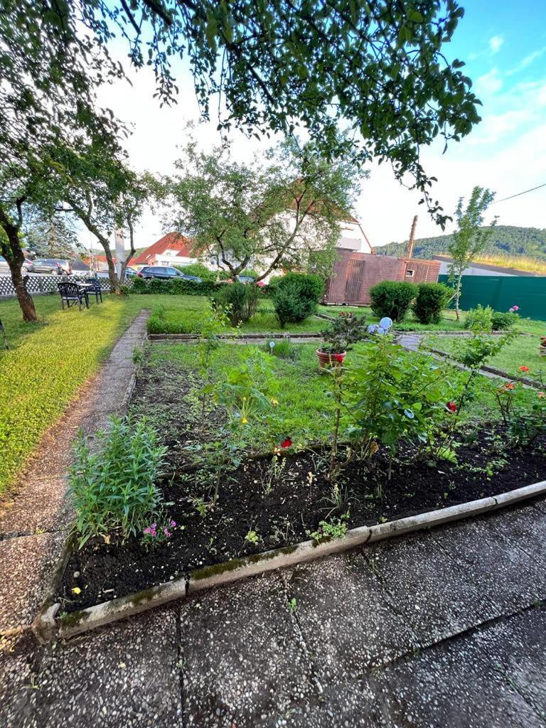 Pension Donaublick Grein 1 , Spitzfeldstr 1 ภายนอก รูปภาพ